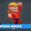 Karateka Bruce – Proto Series