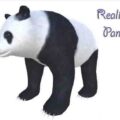 Realistic Panda