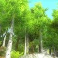 GreenLeaf – Tree Pack 2
